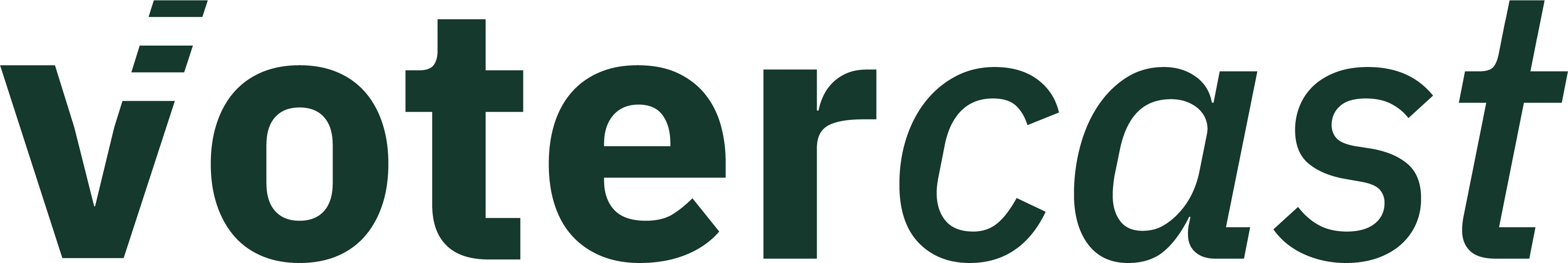 VoterCast